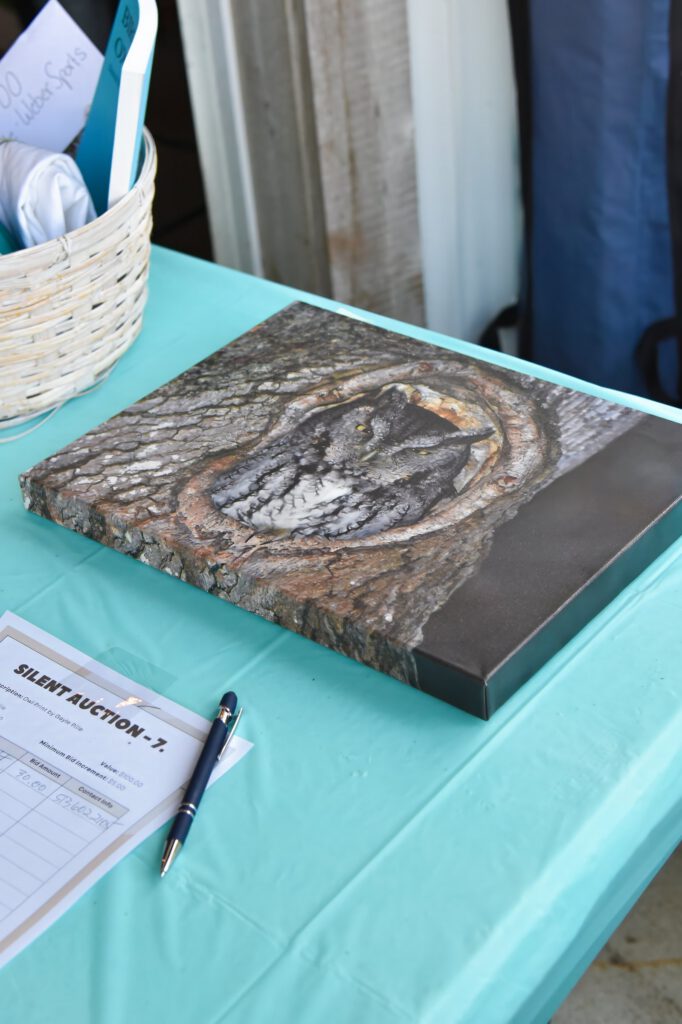 A painting of an owl in a tree hollow on a teal tablecloth beside a silent auction bid sheet