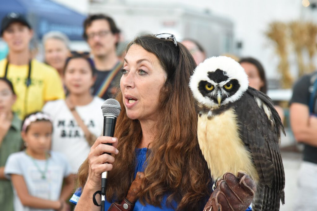 A presenter speaks into a microphone with a spectacled owl on her glove while a crowd watches