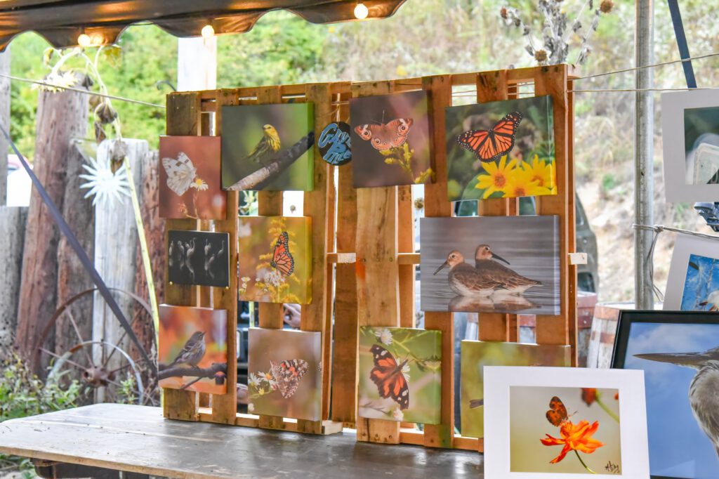 Bird and butterfly paintings displayed on a wooden pallet stand at a vendor stall